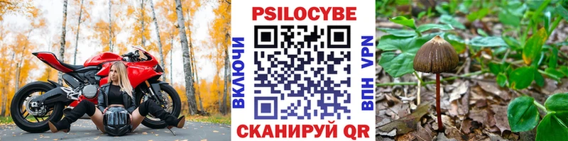 Псилоцибиновые грибы Psilocybine cubensis  где купить наркоту  kraken как войти  Горячеводский 